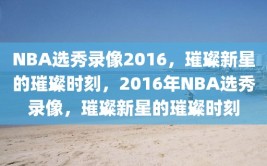 NBA选秀录像2016，璀璨新星的璀璨时刻，2016年NBA选秀录像，璀璨新星的璀璨时刻