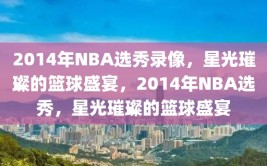 2014年NBA选秀录像，星光璀璨的篮球盛宴，2014年NBA选秀，星光璀璨的篮球盛宴