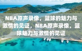 NBA原声录像，篮球的魅力与激情的见证，NBA原声录像，篮球魅力与激情的见证