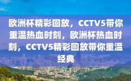 欧洲杯精彩回放，CCTV5带你重温热血时刻，欧洲杯热血时刻，CCTV5精彩回放带你重温经典