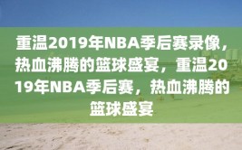 重温2019年NBA季后赛录像，热血沸腾的篮球盛宴，重温2019年NBA季后赛，热血沸腾的篮球盛宴