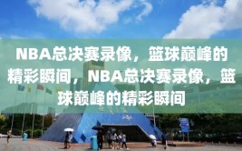 NBA总决赛录像，篮球巅峰的精彩瞬间，NBA总决赛录像，篮球巅峰的精彩瞬间