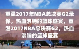 重温2017年NBA总决赛G2录像，热血沸腾的篮球盛宴，重温2017NBA总决赛G2，热血沸腾的篮球盛宴