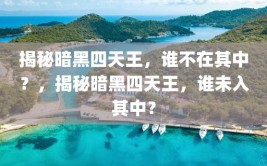 揭秘暗黑四天王，谁不在其中？，揭秘暗黑四天王，谁未入其中？