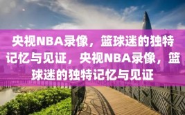 央视NBA录像，篮球迷的独特记忆与见证，央视NBA录像，篮球迷的独特记忆与见证