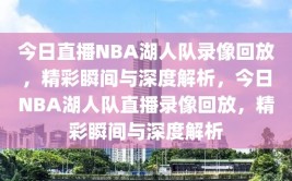 今日直播NBA湖人队录像回放，精彩瞬间与深度解析，今日NBA湖人队直播录像回放，精彩瞬间与深度解析