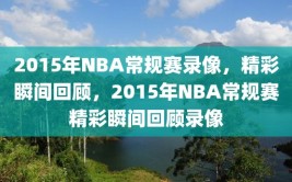 2015年NBA常规赛录像，精彩瞬间回顾，2015年NBA常规赛精彩瞬间回顾录像