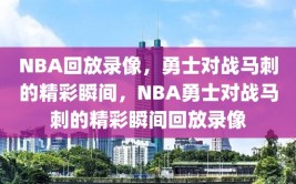 NBA回放录像，勇士对战马刺的精彩瞬间，NBA勇士对战马刺的精彩瞬间回放录像