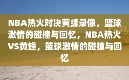 NBA热火对决黄蜂录像，篮球激情的碰撞与回忆，NBA热火VS黄蜂，篮球激情的碰撞与回忆