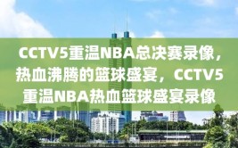 CCTV5重温NBA总决赛录像，热血沸腾的篮球盛宴，CCTV5重温NBA热血篮球盛宴录像