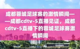 成都蓉城足球赛的激情瞬间——成都cdtv-5直播见证，成都cdtv-5直播下的蓉城足球赛激情瞬间